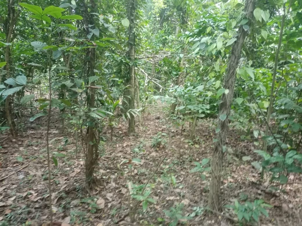 Land for Sale in Dickwella photo 8