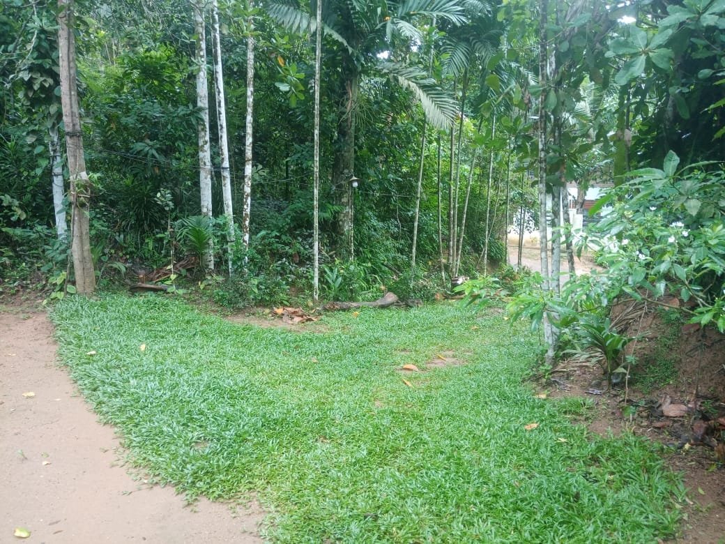 Land for Sale in Dickwella photo 10