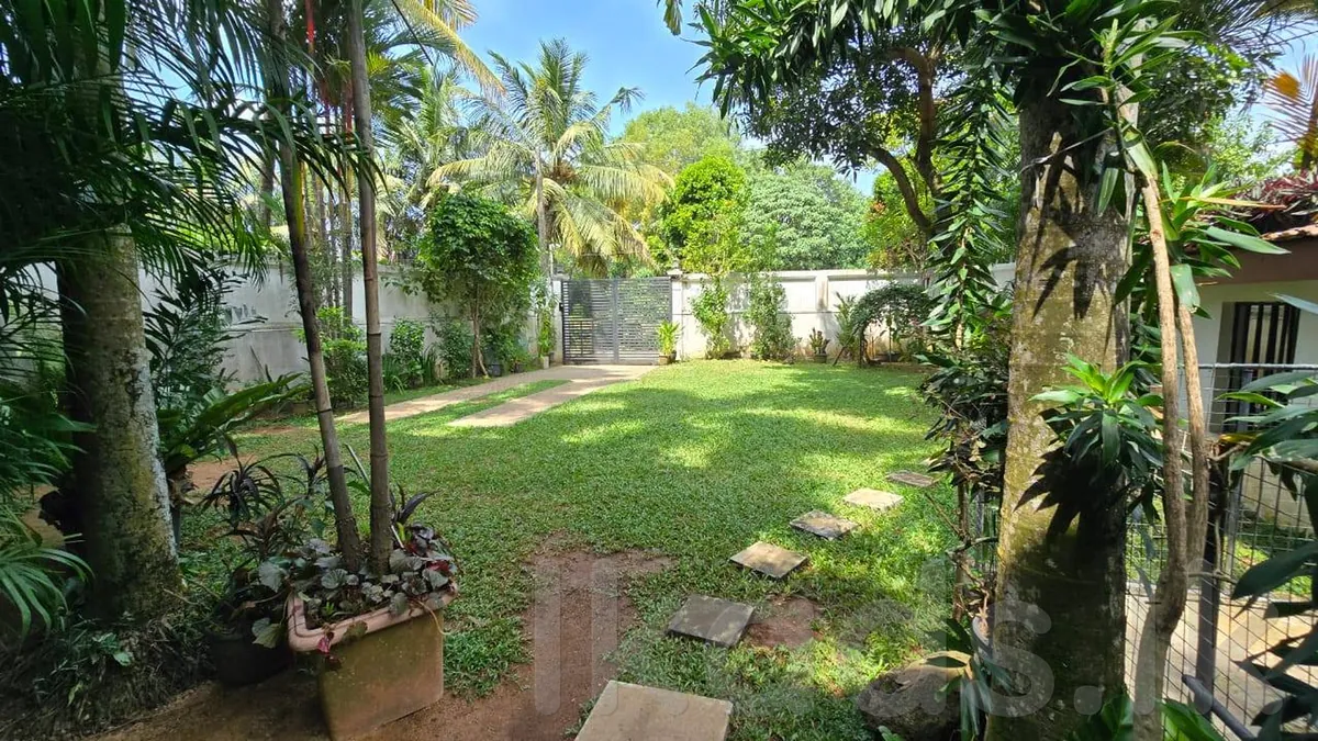 Land For Sale In Nawala