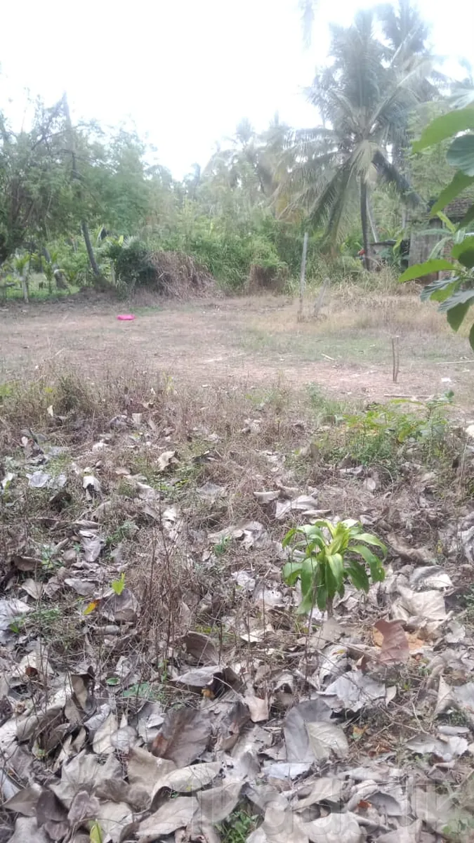 Land for Sale in Guruloepola | 5.5km to Kurunegala