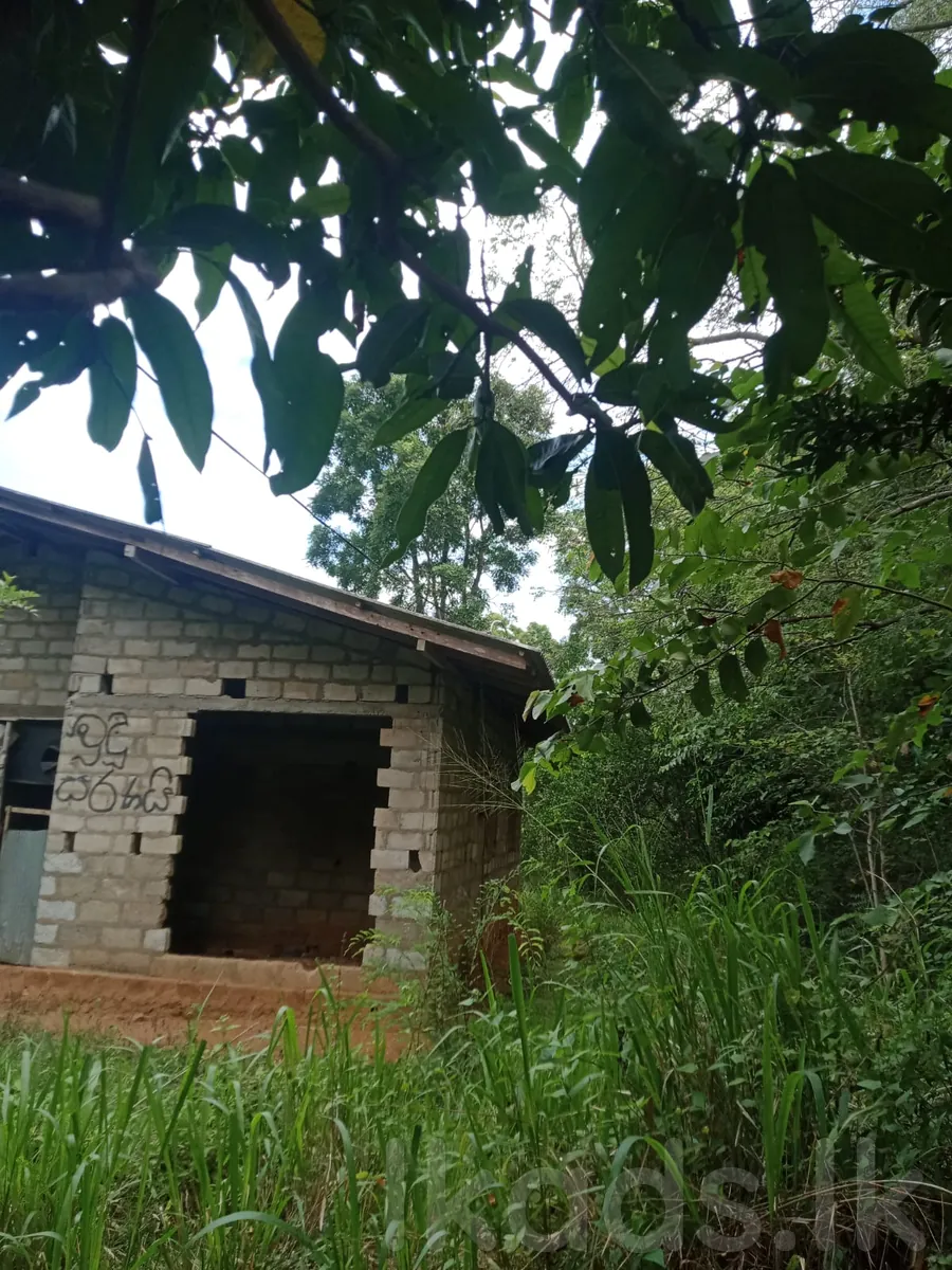 හම්බෙගමුව - රතබලාගම අක්කර 1ක අර්ධ වශයෙන් ඉදිකළ නිවසක් විකිණීමට photo 3