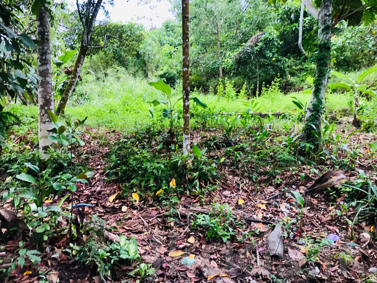 Land for sale in Warakapola