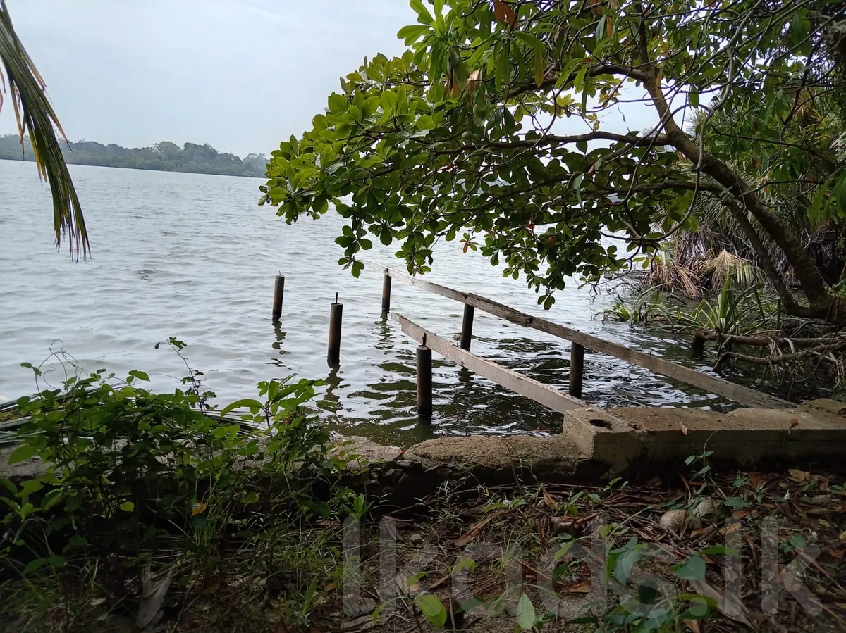 82.5 Perches Land for Sale in Maduwa | Bordering Madu Ganga