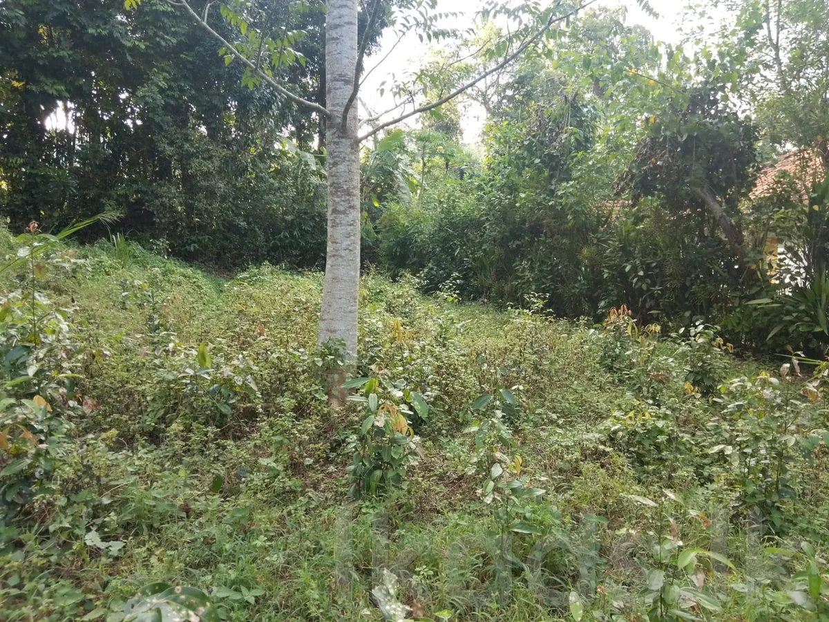 Land for Sale in Matara - Kirinda  මාතර - කිරින්ද