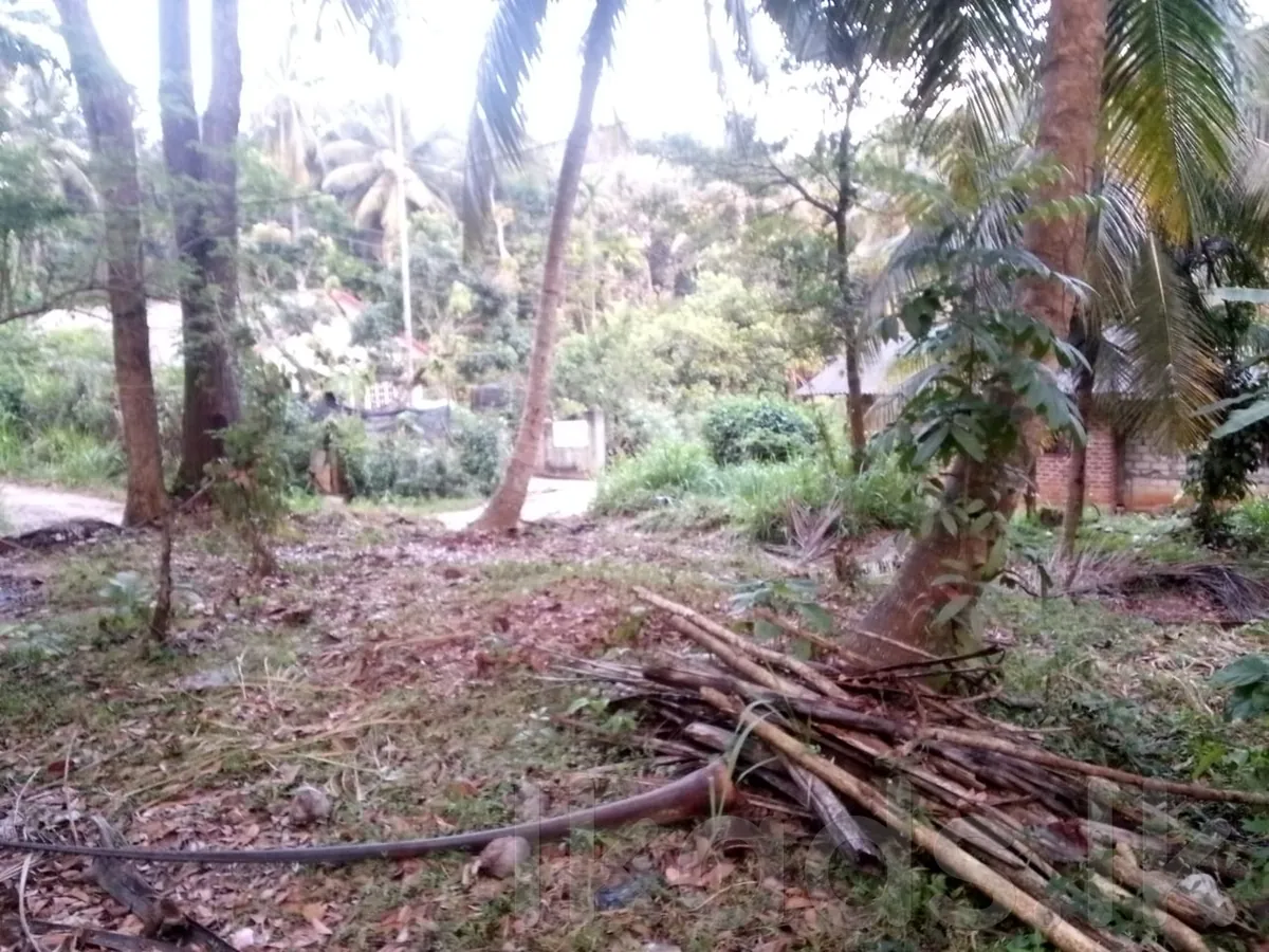 ඕමරගොල්ල - මැල්සිරිපුර ගලේවෙල පාරේ පර්චස් 20ක ඉඩමක් විකිණීමට