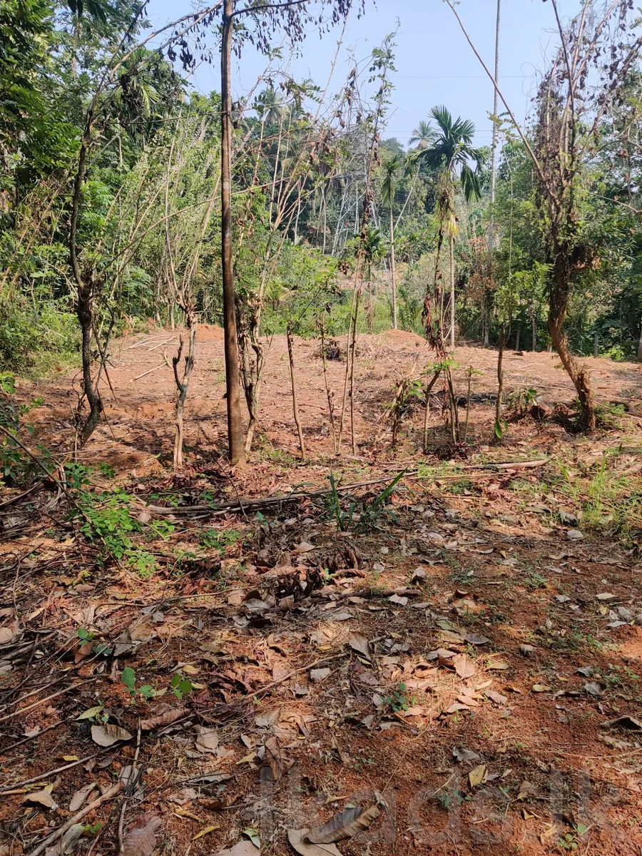 Land sale in Mawanalle