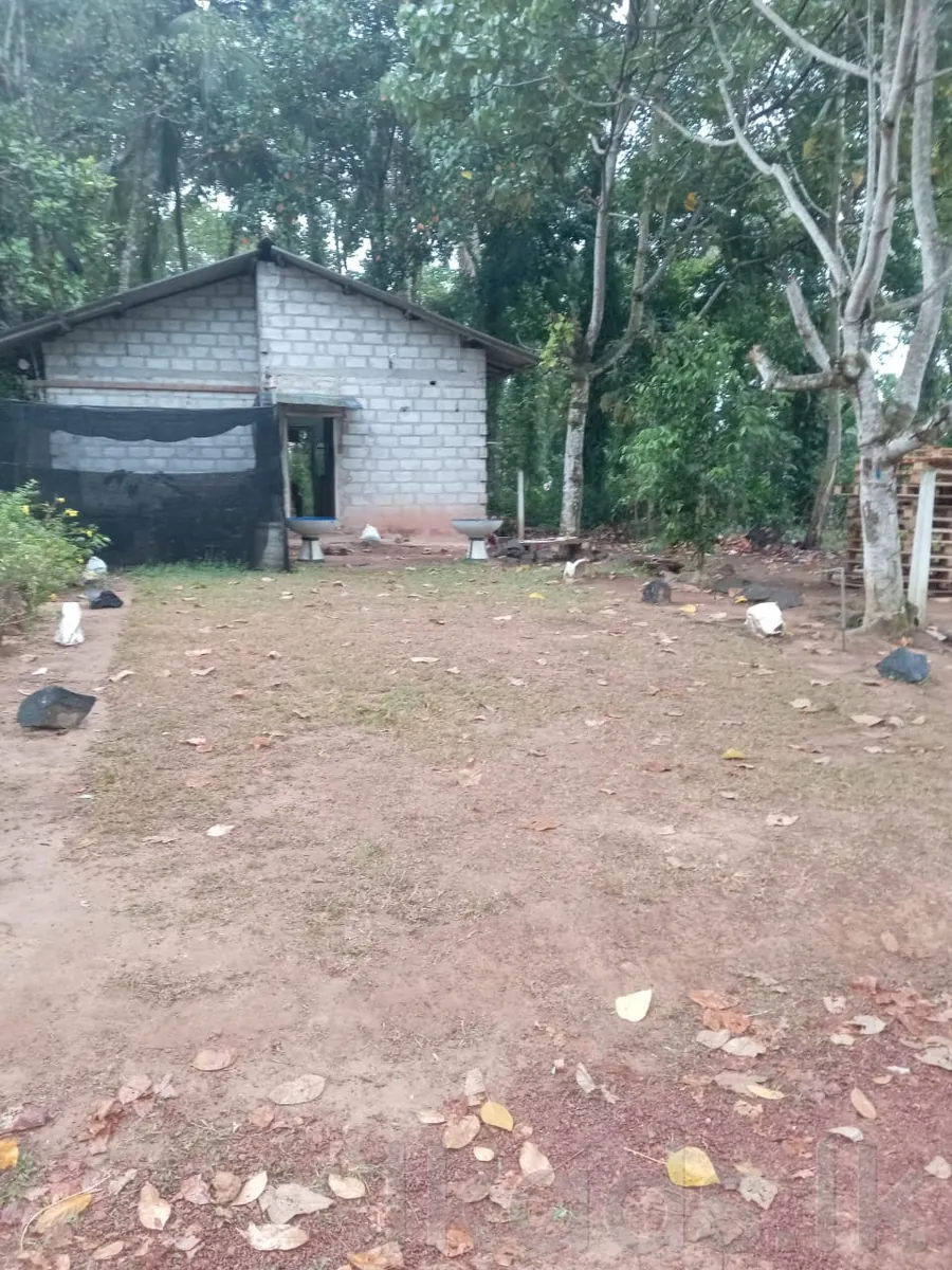 House for Sale in Attanagalla - Walpola Sudunelum Mawatha | 15 Perches