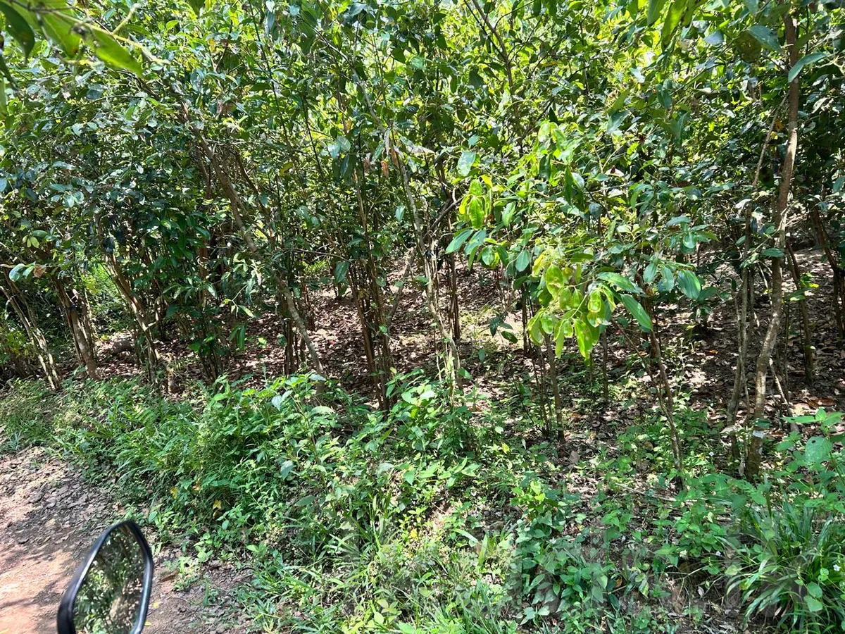 Land for sale Karaneniya