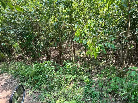 Land for sale Karaneniya
