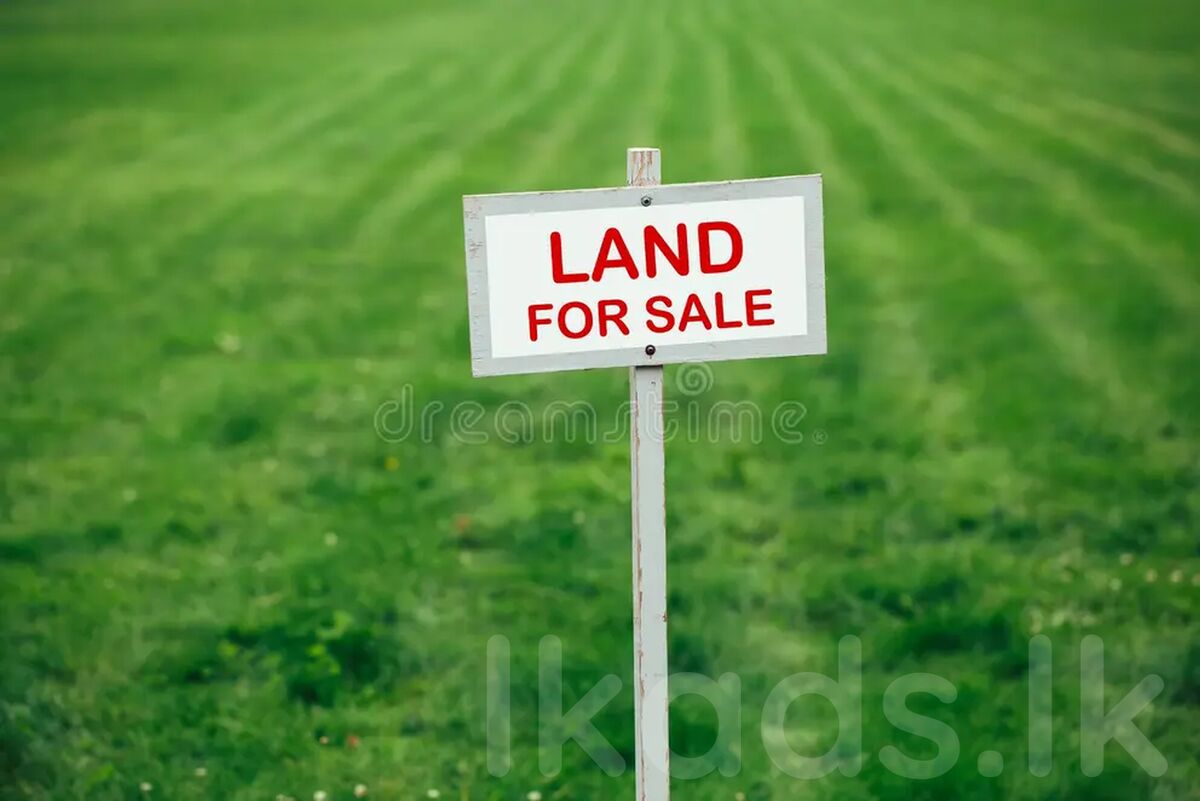 Land for sale gampaha 12.5