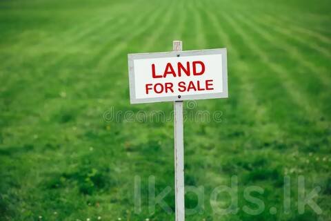 Land for sale gampaha 12.5