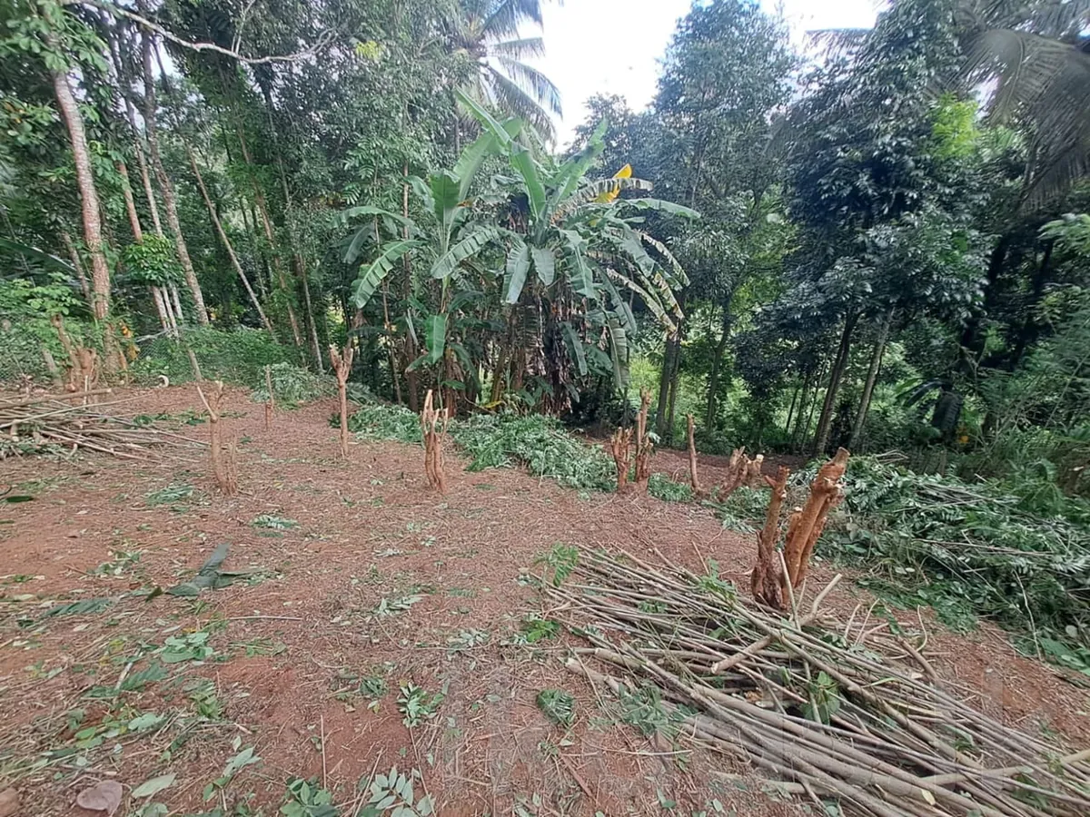 Land for Sale in Nanuoya - Near Rail Gate