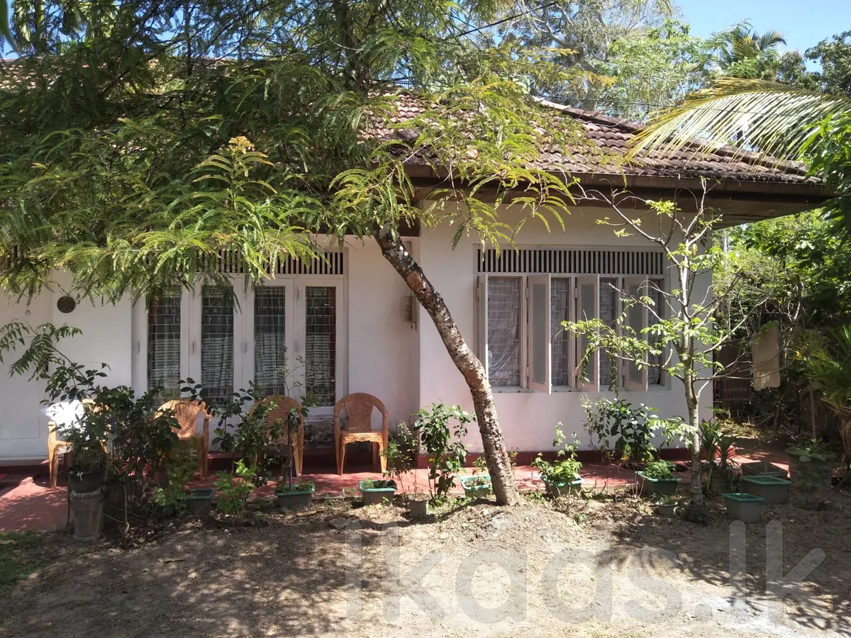 මාතර පර්චස් 14.5ක ඉඩකඩ සහිත නිවසක් විකිණීමට