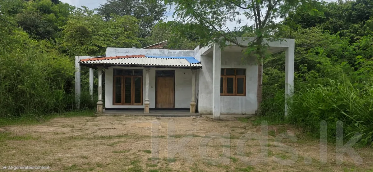 Two-Story House for Sale Near Wellawaya Town | 15 Perches