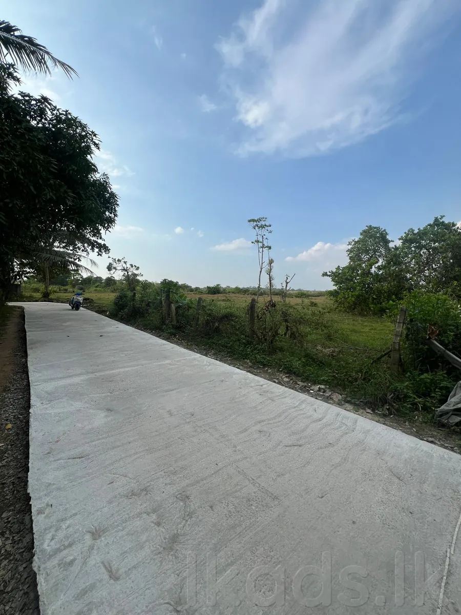 මොරොන්තුඩුවෙන් වටිනා ඉඩමක් විකිණීමට ඇත Moronthuduwa, Gonaduwa