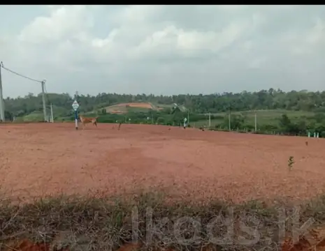 Land for sale Wadduwa
