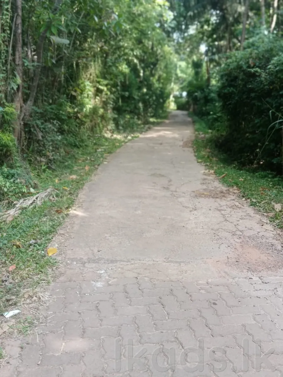 Land for Sale in Dickwella