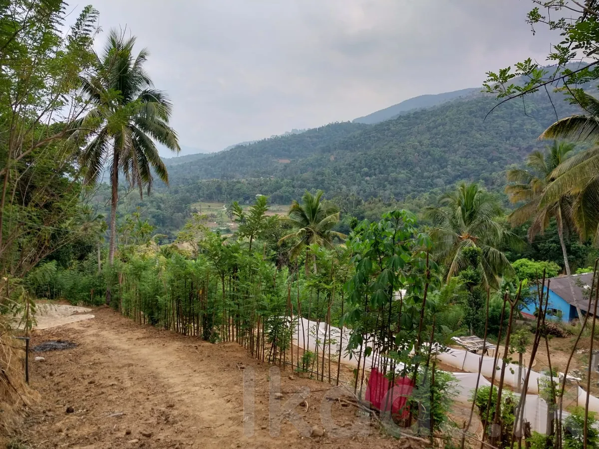 Land for Sale in Kandy - Thalatuoya | Good Environment