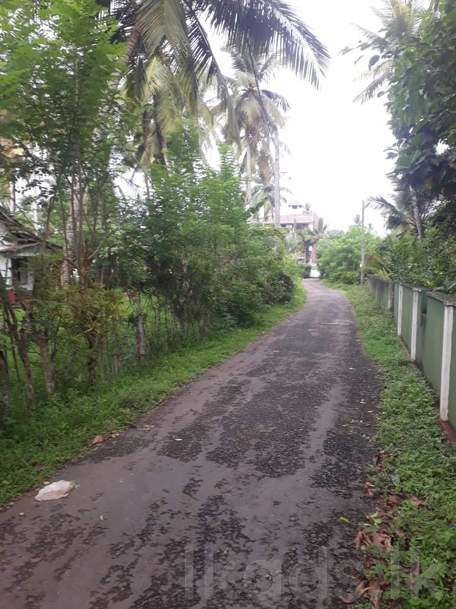 48 Perches Land for Sale on Galle Road