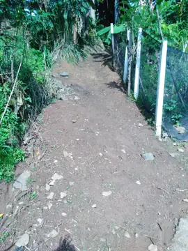 Land with Small House in Bandarawela