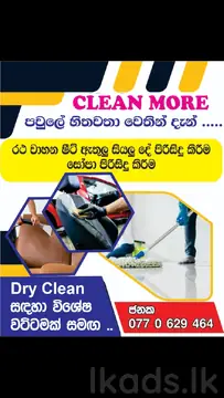 CLEAN MORE – Professional Home & Vehicle Cleaning Services