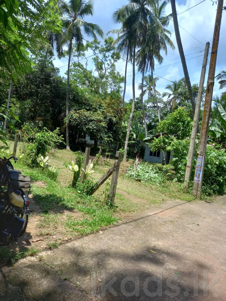 LAND FOR SALE IN JA-ELA, BANDIGODA | 12 PERCHES