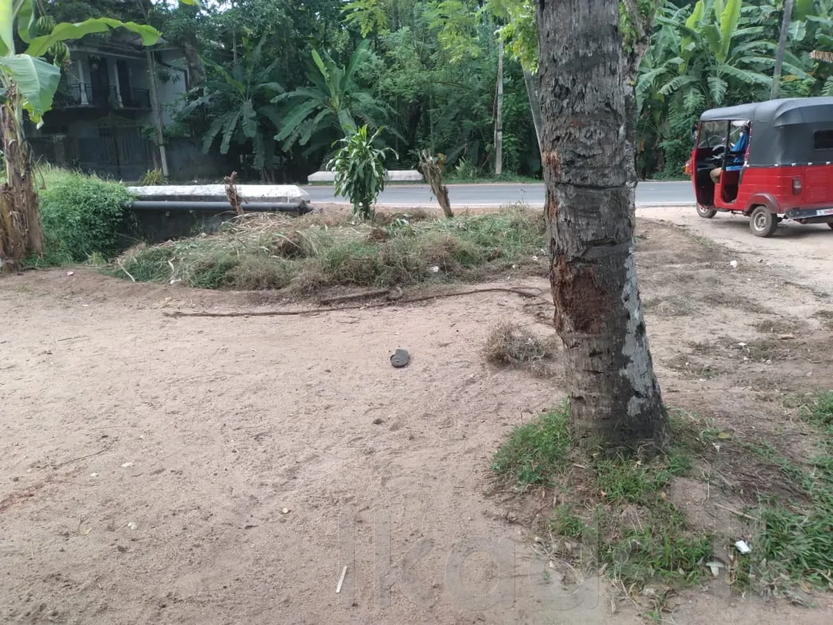 Land with 04 Shop Rooms for Sale in Minuwangoda