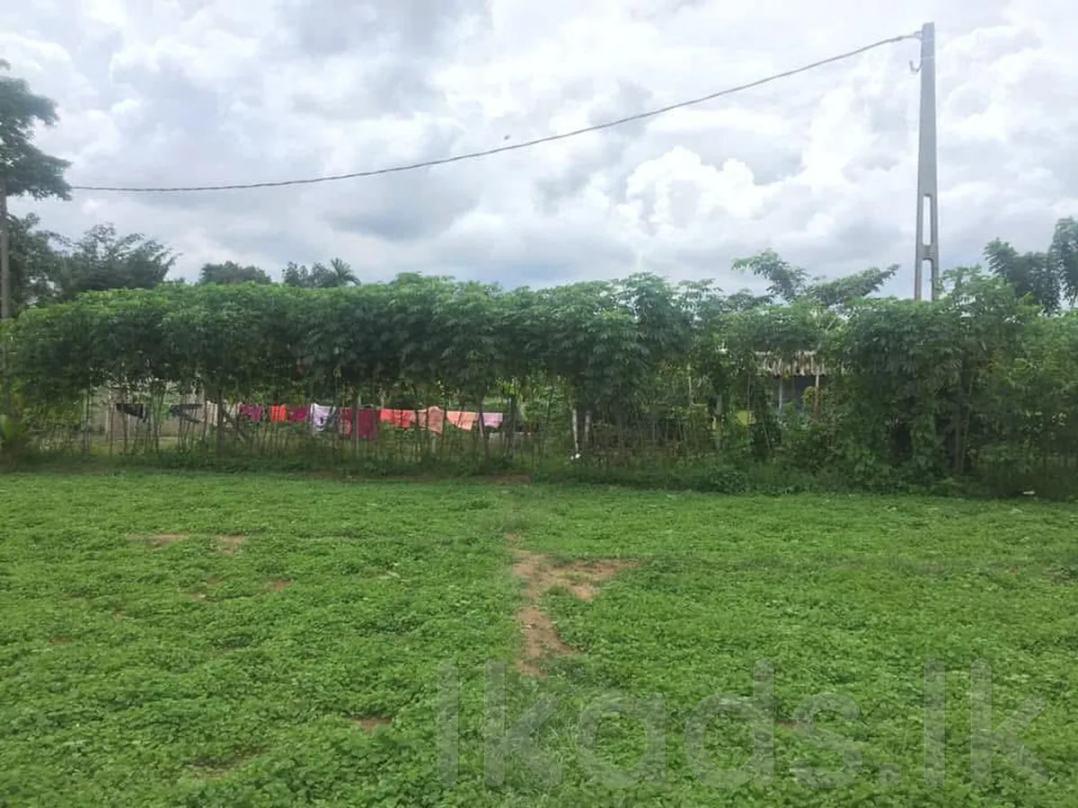 Land for sale Bandaragama දොබගොඩ
