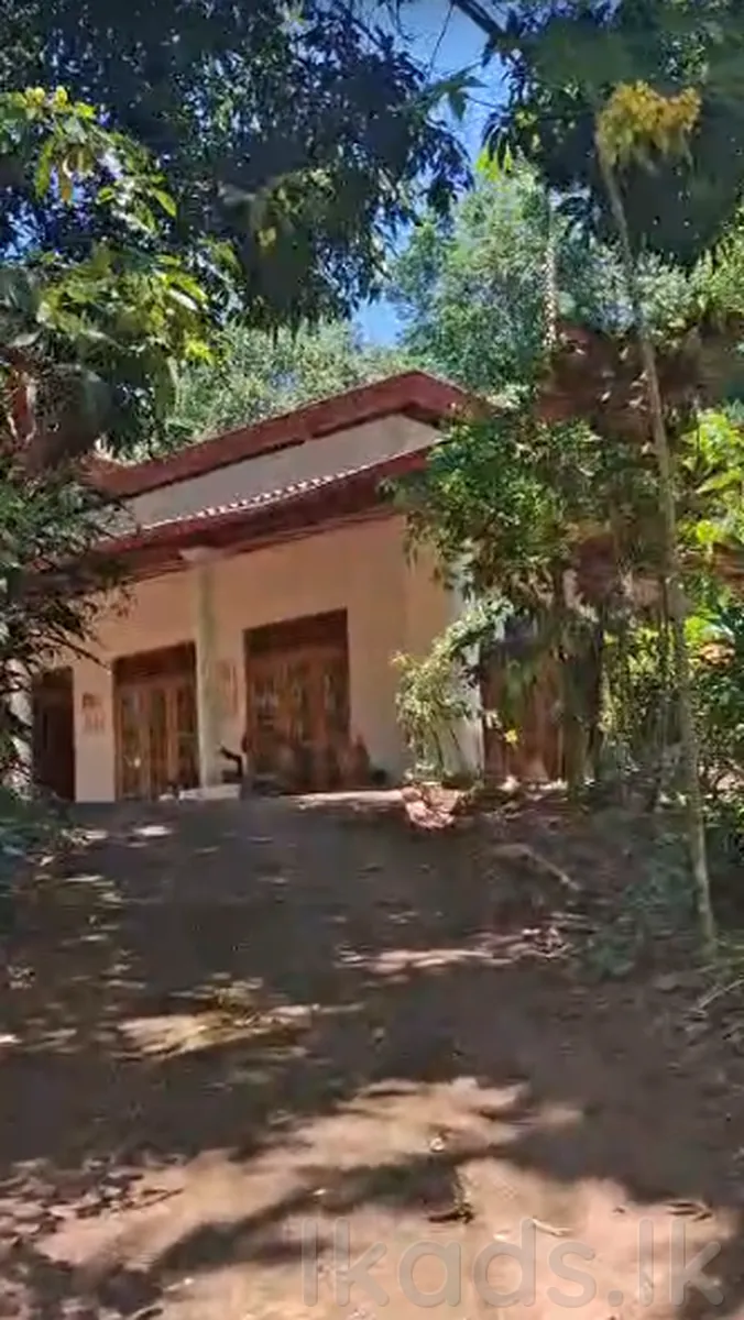 Land with House & Cultivation for Sale near Madampe Junction