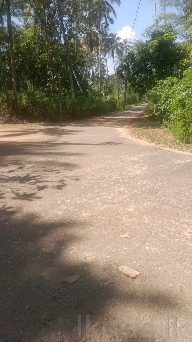 Land for Sale in Pallellandeniya | 7.5km to Kurunegala