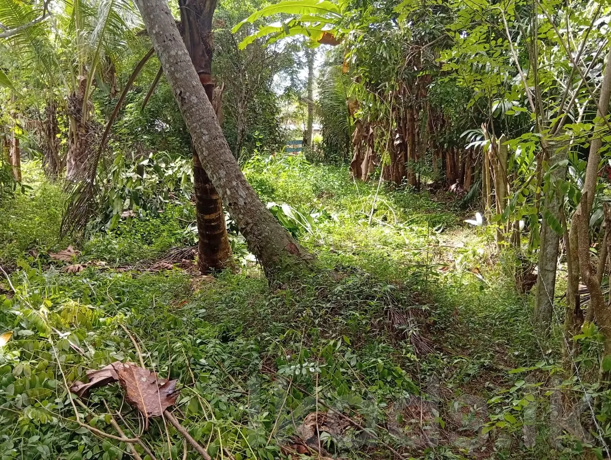 Valuable land for sale in Narammala Halwella