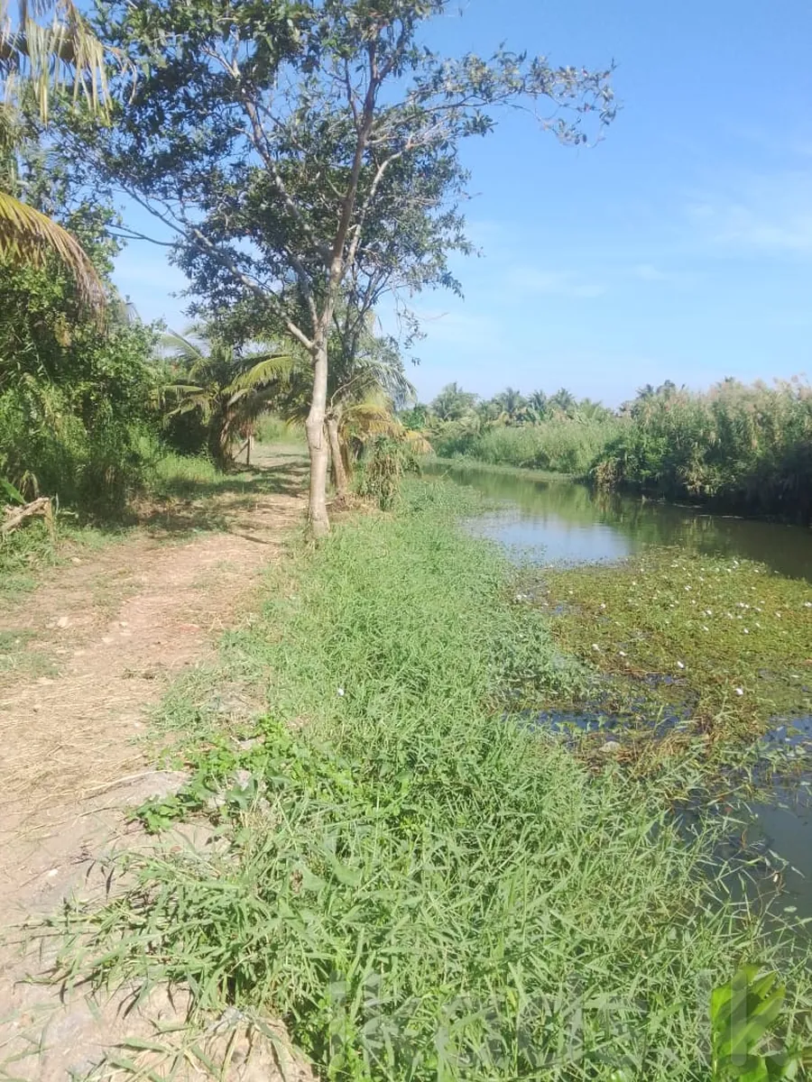 Land for Sale in Seeduwa – 40-100 Perches