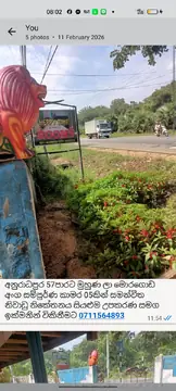 RESORT for Sale in Anuradhapura අනුරාධපුර 57 ප්‍රධාන පාරට මුහුණලා දේපළක් | මිල ලක්ෂ 230