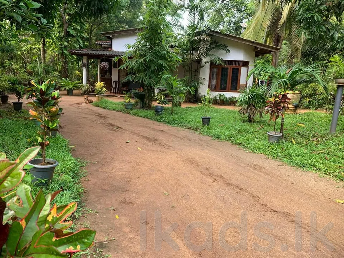 House for Sale in Thambuttegama තඹුත්තේගම - ගල්නෑව ප්‍රධාන මාර්ගයේ මිදෙල්ලෑව නිවසක් විකිණීමට