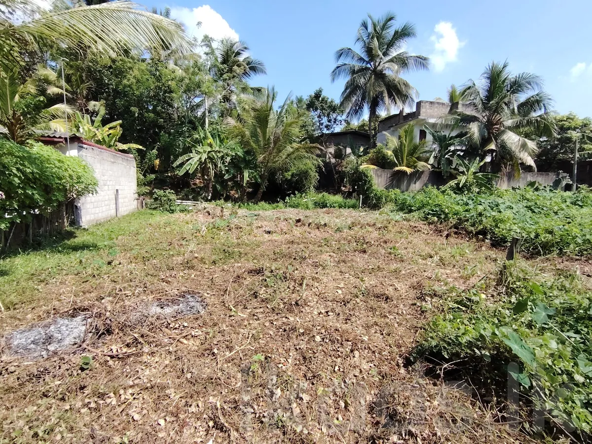 Land for Sale in Awissawella | 8.5 Perches | Urgent Sale