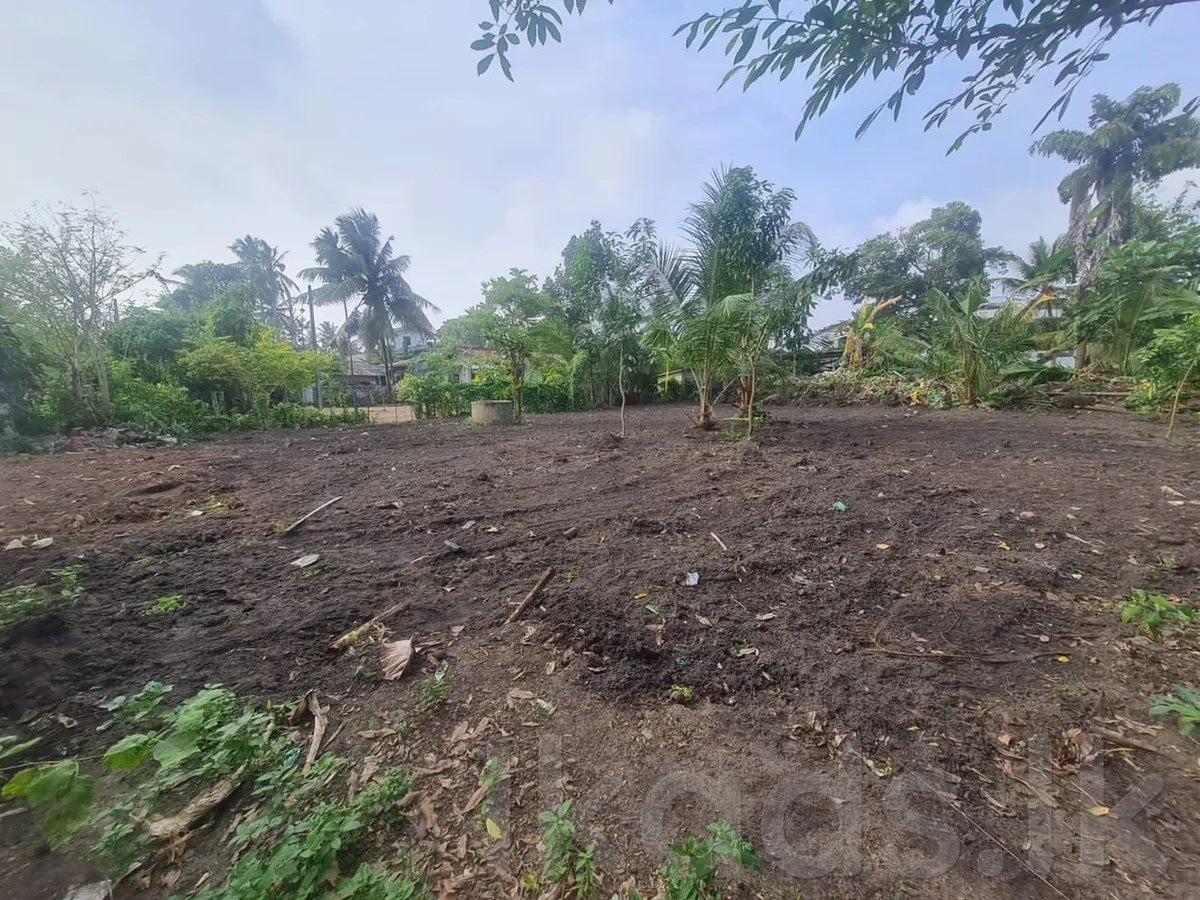 Land for Rent in Ja-Ela, Waligampitiya