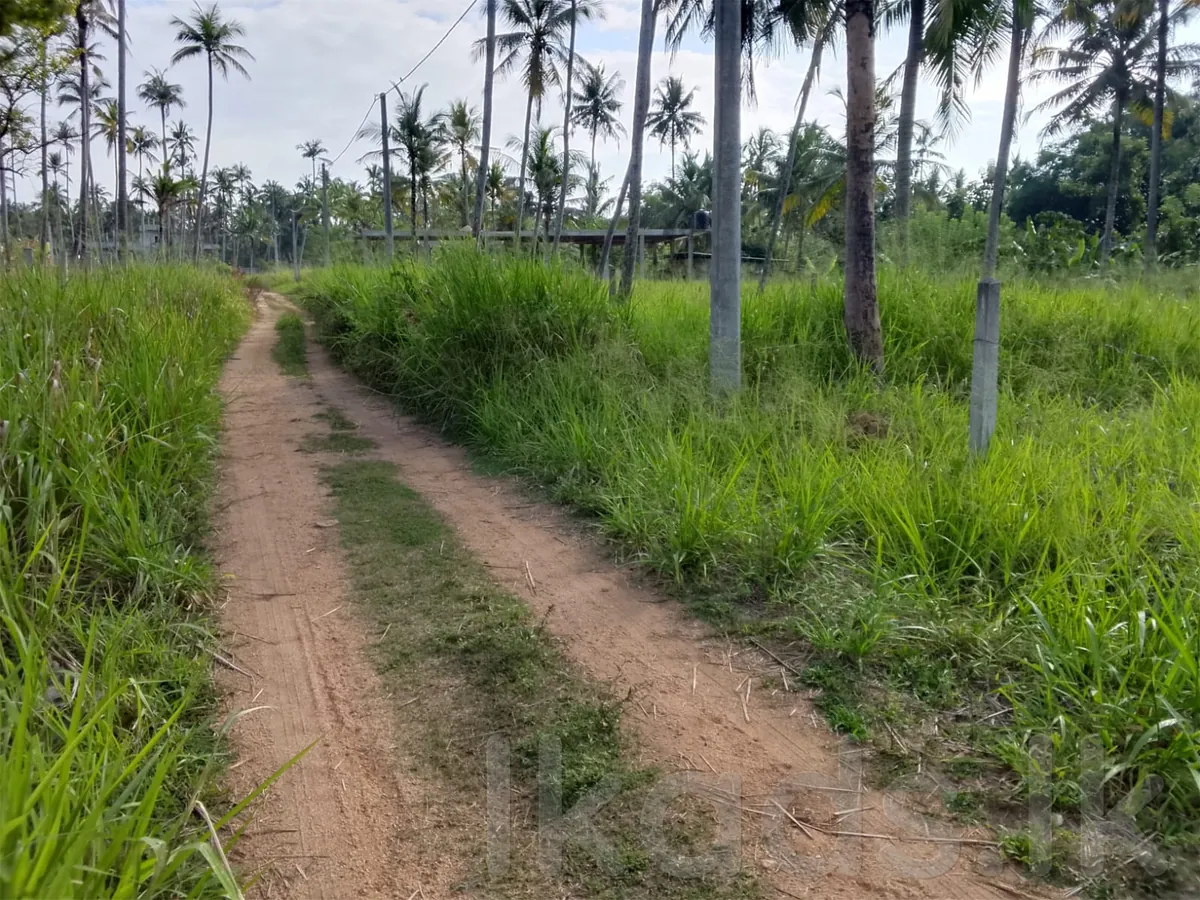 Land with Small House for Sale in Kurunegala
