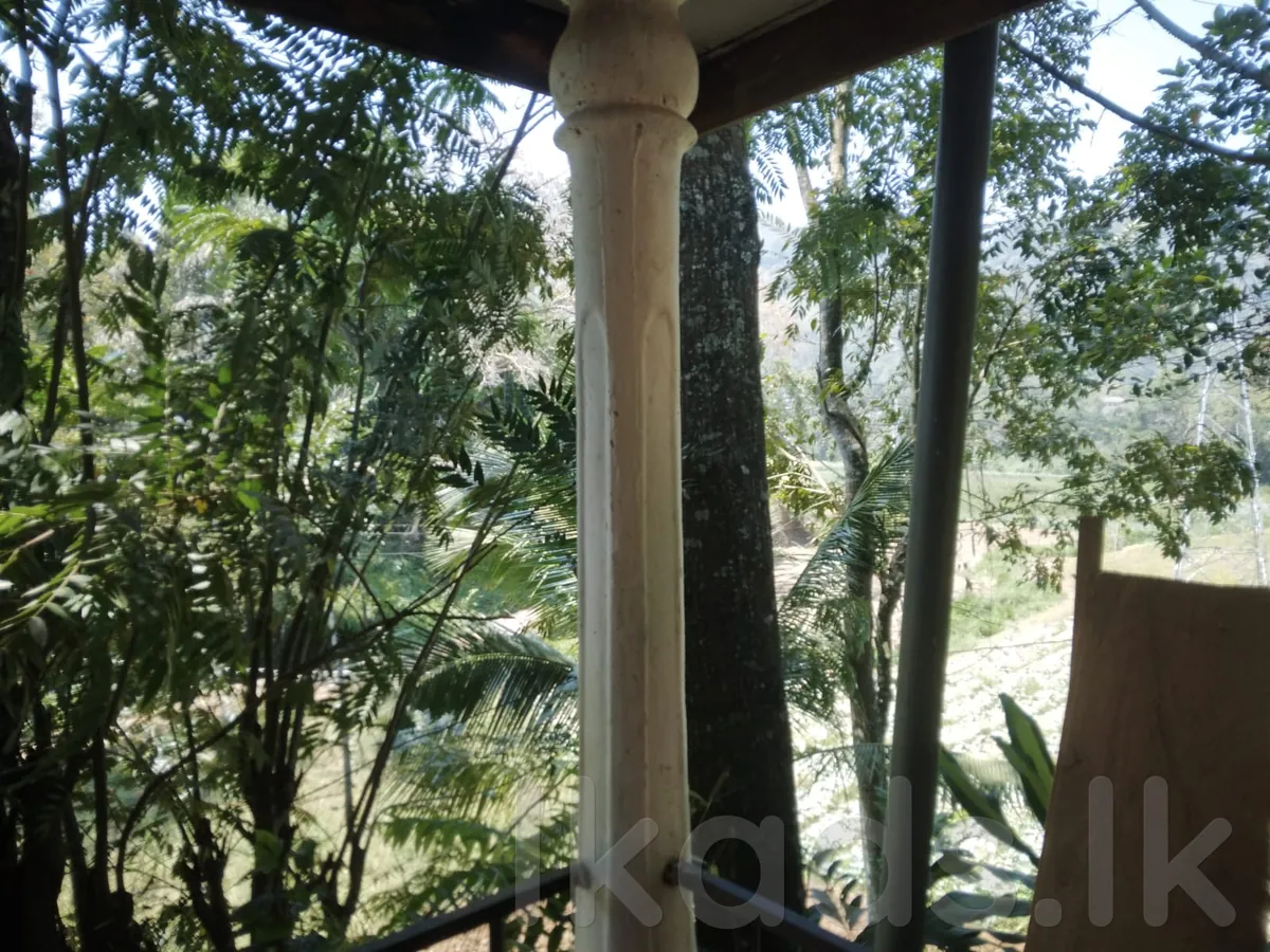 Land for Sale Near Ella Town ඇල්ල නගරයට ආසන්නව පර්චස් 34.5