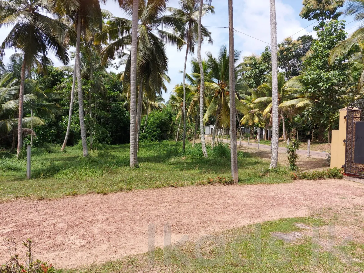202 Perches Land for Sale Near Madampella, Close to Katana