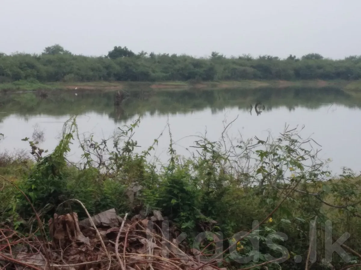 Land with House for Sale in Thanamalwila