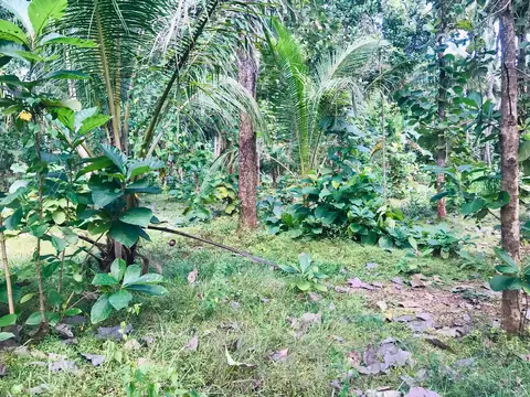 Land for Sale in Malsiripura, Gokarella