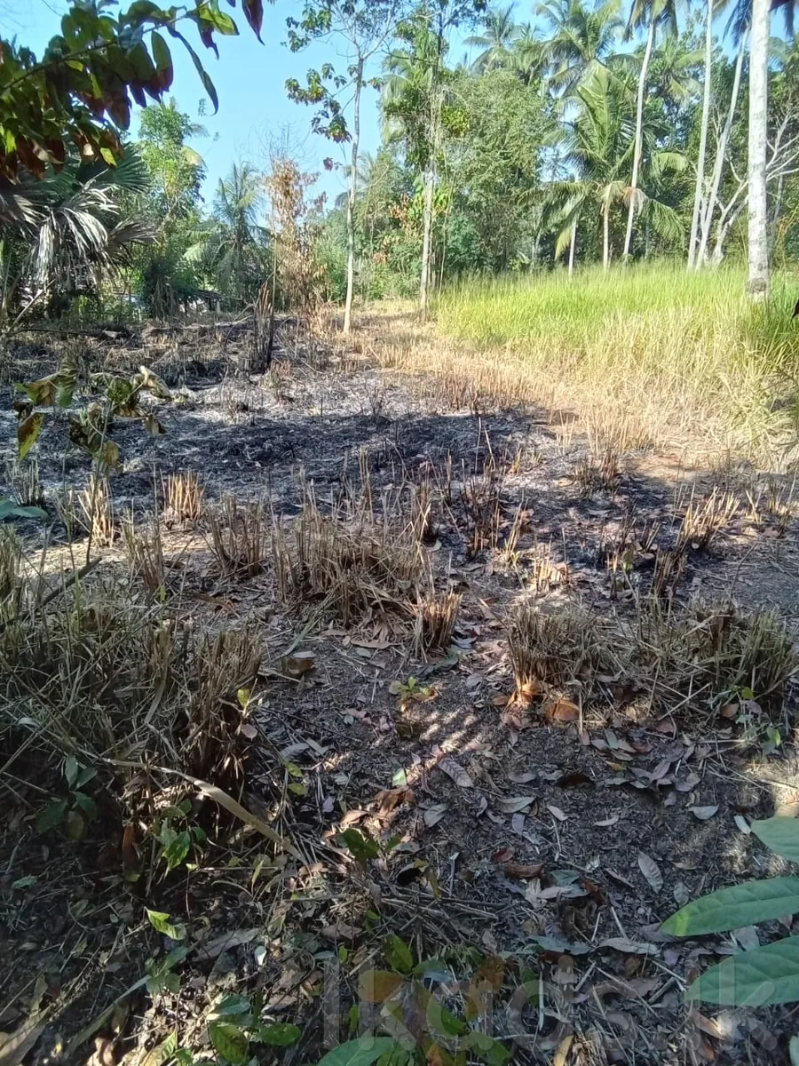 Land for Sale in Tholangamuwa, Warakapola