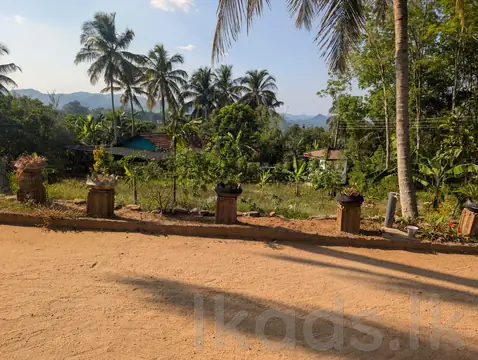 Land for Urgent Sale in Karadupana, Molagoda