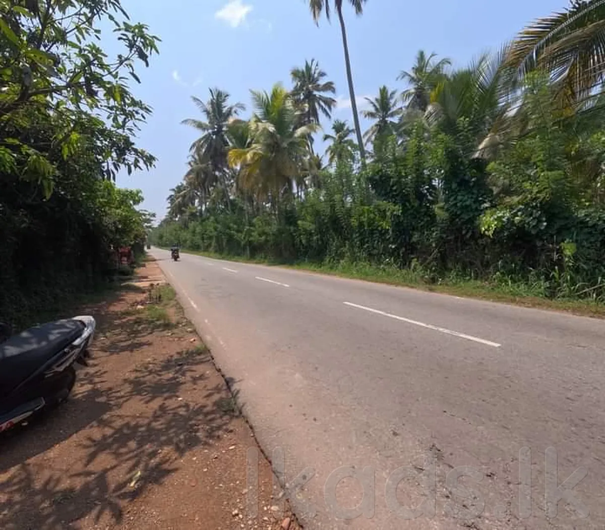 Land for Sale in Urapola, Deenapamunuwa  46 Perches