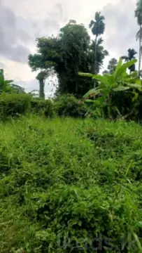 Land for Urgent Sale in Kaduwela, Rassapana