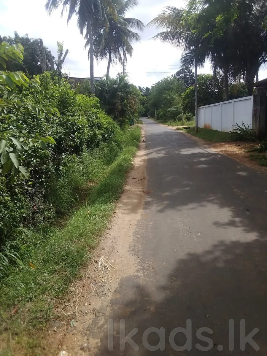Land for Sale in Anuradhapura City Limits