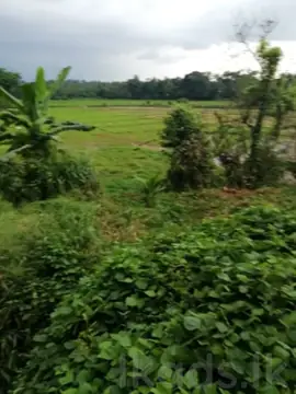 Land for Sale in Salawa  26 Perches 400m to Army Camp