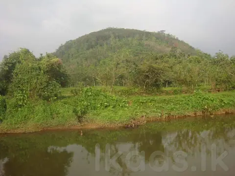 Riverfront Land for Sale | 200m+ River Frontage