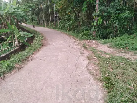 ගම්පහ - පහළගම පර්චස් 15ක ඉඩමක් විකිණීමට
