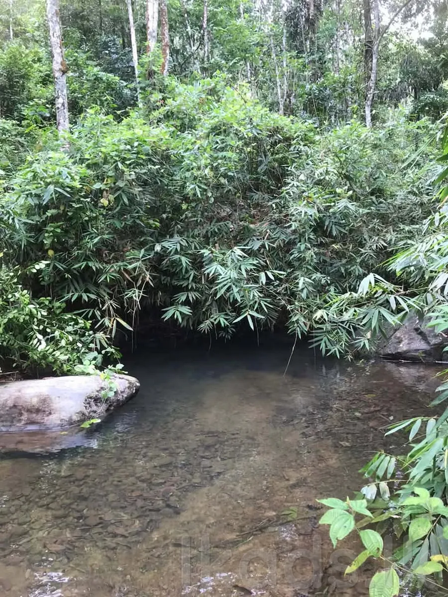 5 Acres Sinnakkara Land for Sale in Agalawatte, Kudaligama